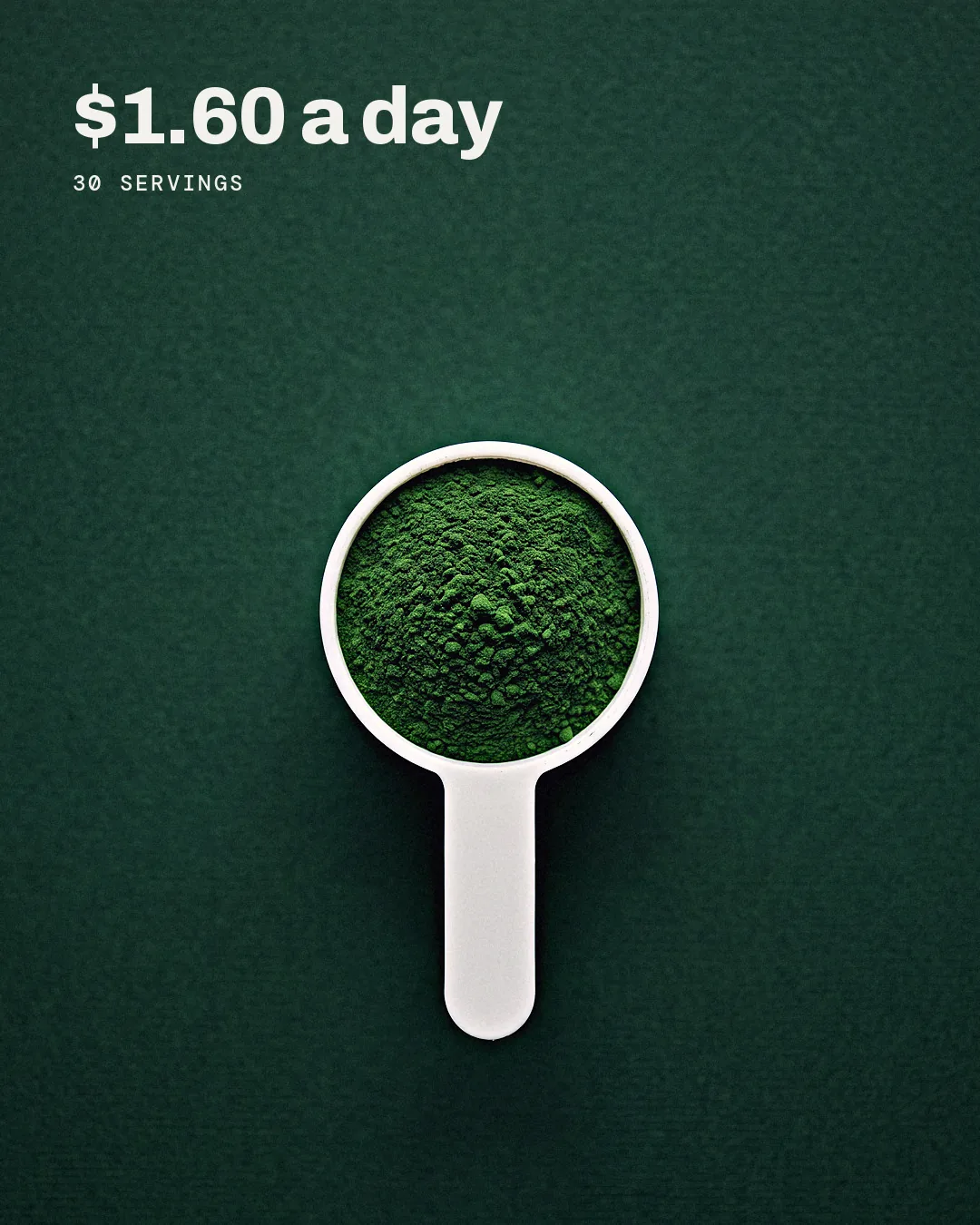 RUNE ad: $1.60 a day